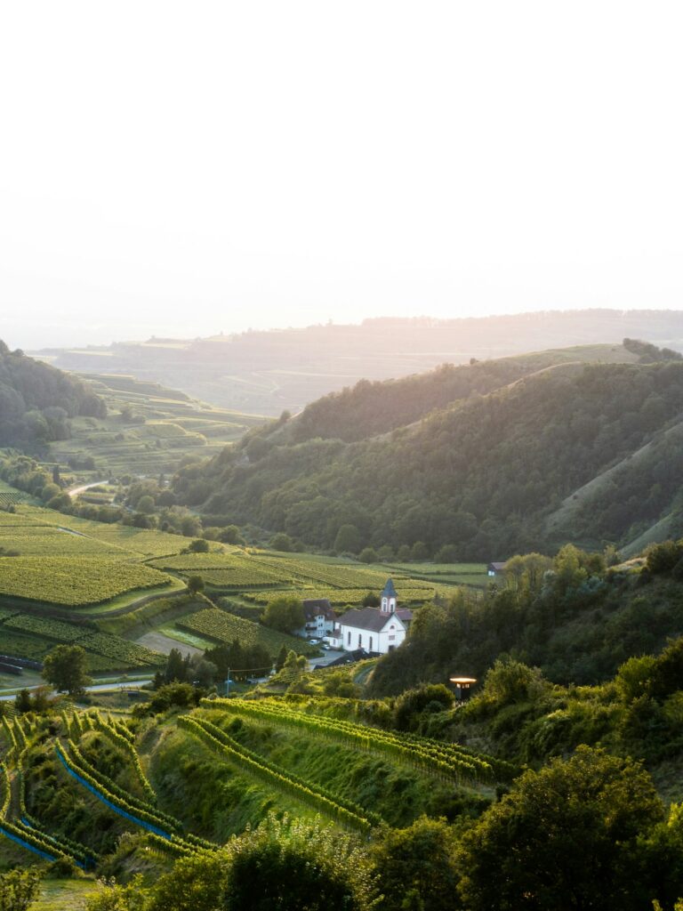 Weinberge und Hügel am Kaiserstuhl